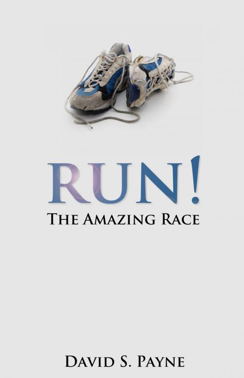 Cover of the book Run! The Amazing Race by David S. Payne, Word Alive Press