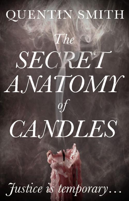 Cover of the book The Secret Anatomy of Candles by Quentin Smith, Troubador Publishing Ltd