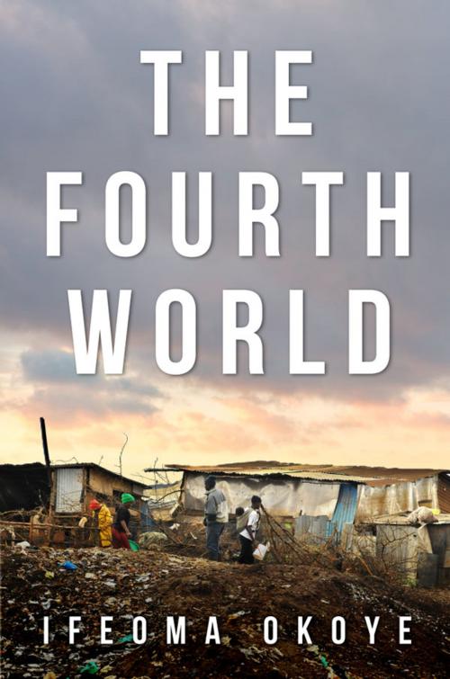 Cover of the book The Fourth World by Ifeoma Okoye, Ifeoma Okoye