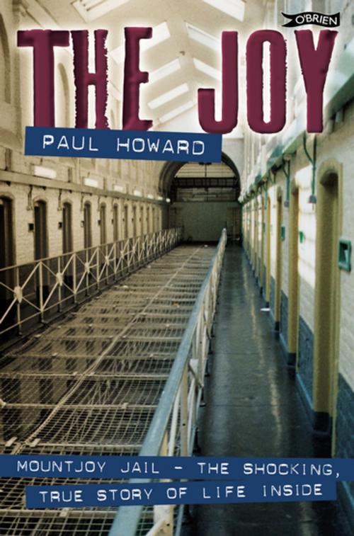 Cover of the book The Joy by Paul Howard, The O'Brien Press