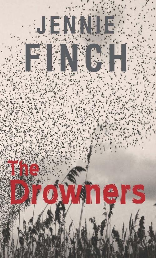 Cover of the book The Drowners by Jennie Finch, Impress Books