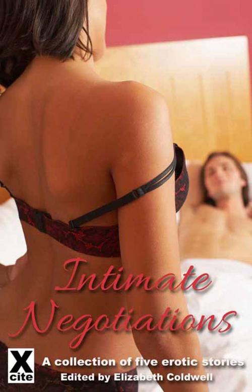 Cover of the book Intimate Negotiations by Viva Jones, Dominic Santi, Alanna Appleton, Jodie Johnson-Smith, Morgan Black, Xcite Books