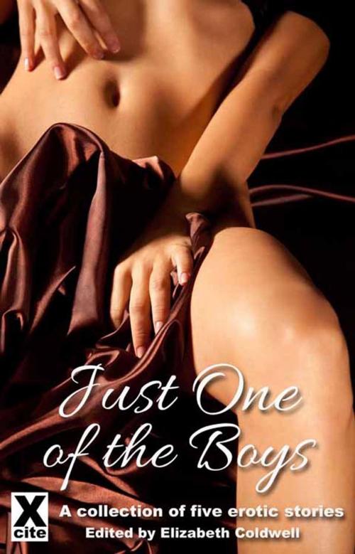Cover of the book Just One of the Boys by Tony Haynes, Garland, Jeanette Grey, Blair Erotica, Alice Candy, Xcite Books