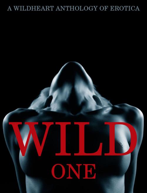 Cover of the book Wild One by Pippa Delamere, Indigo Moore, Erica Bale, Wildheart