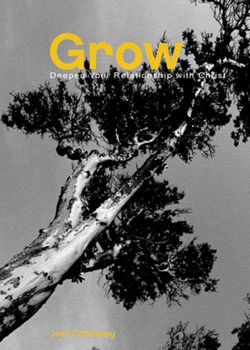 Cover of the book Grow by Joel Comiskey, CCS Publishing