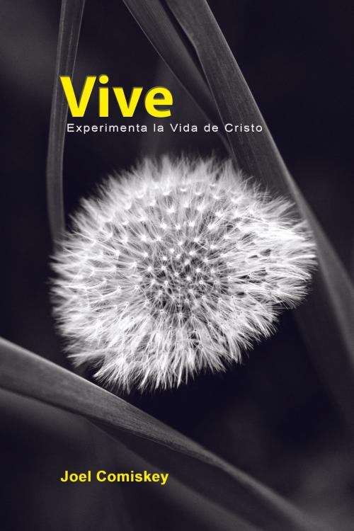 Cover of the book Vive by Joel Comiskey, CCS Publishing