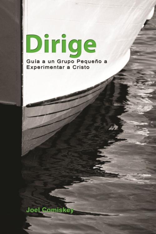 Cover of the book Dirige by Joel Comiskey, CCS Publishing
