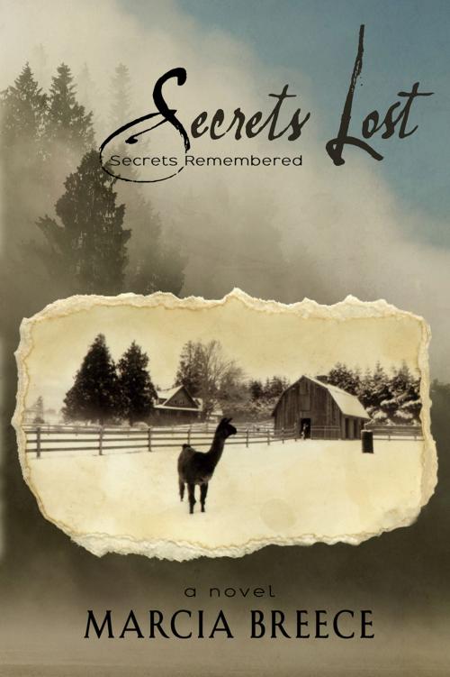 Cover of the book Secrets Lost by Marcia Breece, Teekalet Publishing