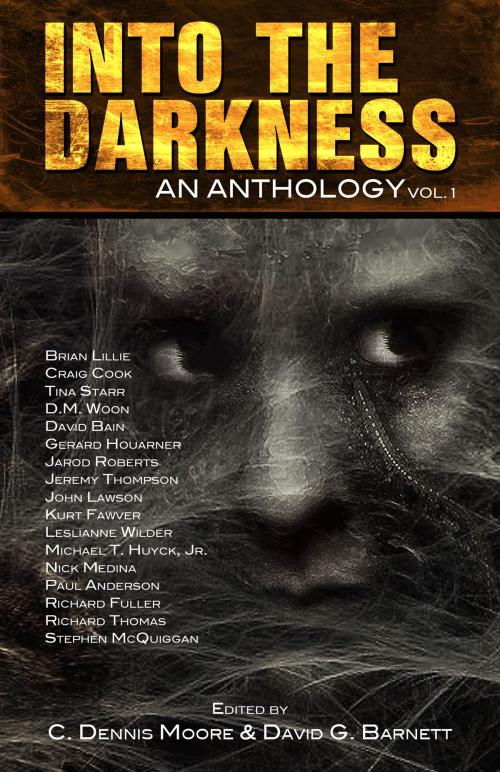 Cover of the book Into the Darkness by David G. Barnett, Necro Publications