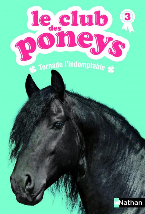 Cover of the book Le club des poneys - Tome 3 by Olivier Rabouan, Sylvie Baussier, Nathan