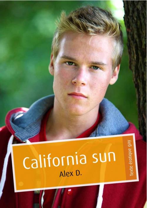 Cover of the book California sun (érotique gay) by Alex D., Éditions Textes Gais