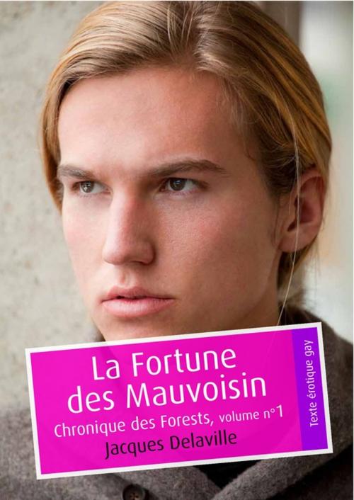 Cover of the book La Fortune des Mauvoisin (érotique gay) by Jacques Delaville, Éditions Textes Gais