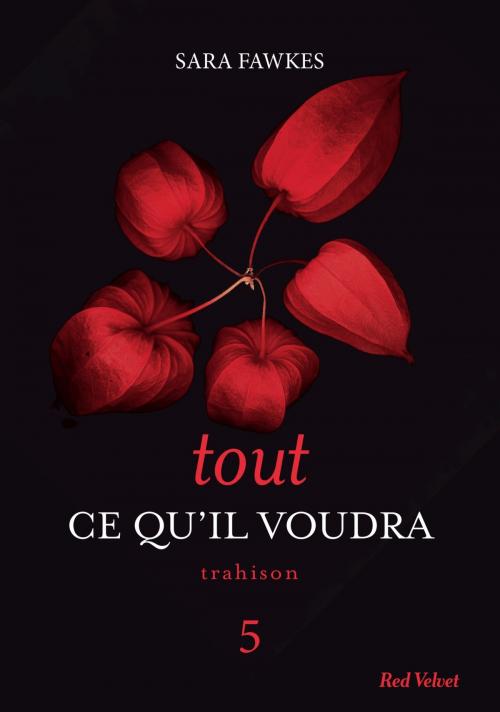 Cover of the book Tout ce qu'il voudra 5 by Sara Fawkes, Marabout