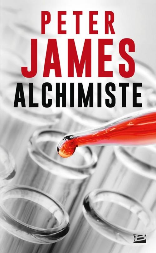 Cover of the book Alchimiste by Peter James, Bragelonne