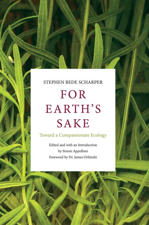 Cover of the book For Earth's Sake by Stephen Bede Scharper, Novalis