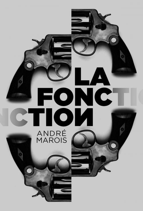 Cover of the book La fonction by André Marois, La courte échelle