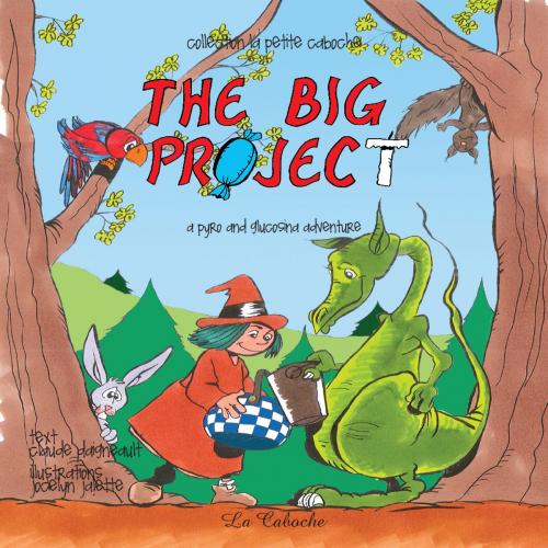Cover of the book The big project by Claude Daigneault, Éditions la Caboche