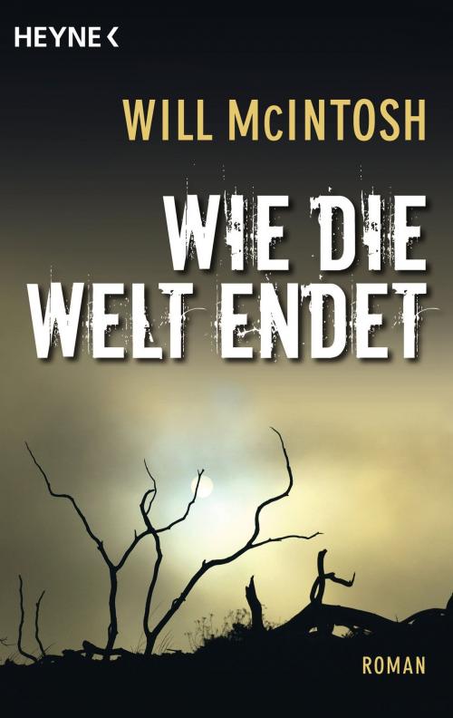 Cover of the book Wie die Welt endet by Will McIntosh, Heyne Verlag