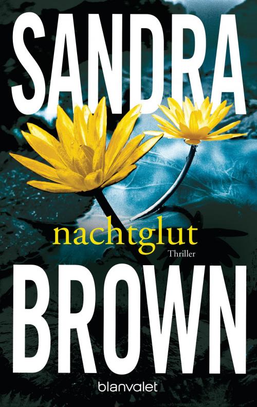 Cover of the book Nachtglut by Sandra Brown, Blanvalet Verlag