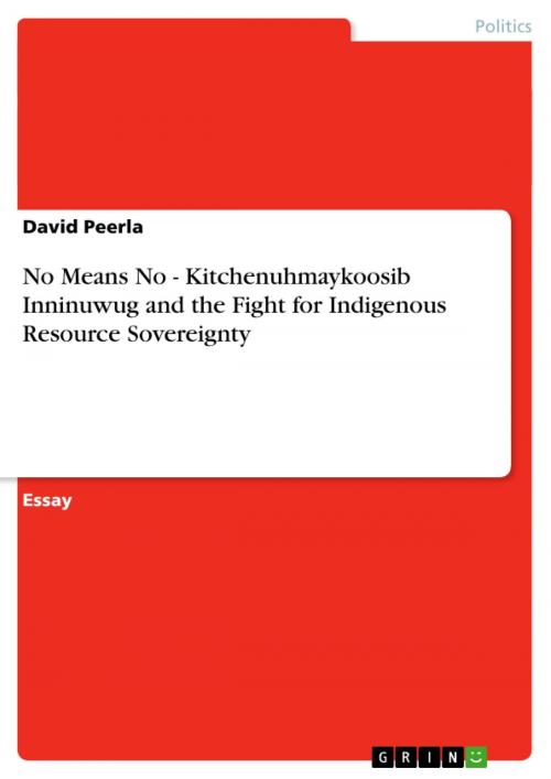 Cover of the book No Means No - Kitchenuhmaykoosib Inninuwug and the Fight for Indigenous Resource Sovereignty by David Peerla, GRIN Verlag