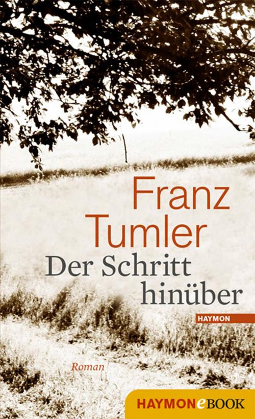 Cover of the book Der Schritt hinüber by Franz Tumler, Barbara Hoiß, Haymon Verlag