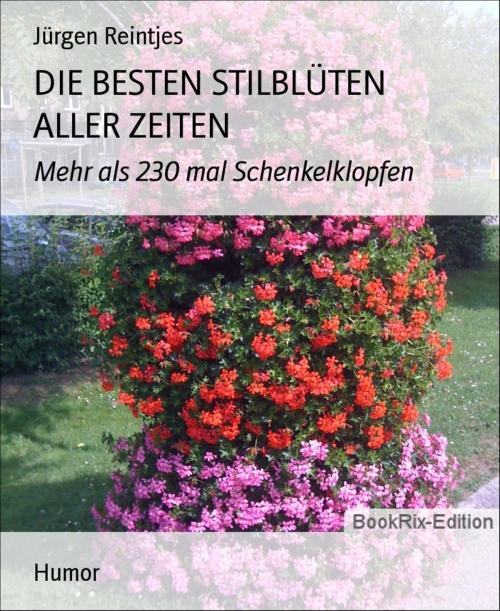 Cover of the book DIE BESTEN STILBLÜTEN ALLER ZEITEN by Jürgen Reintjes, BookRix
