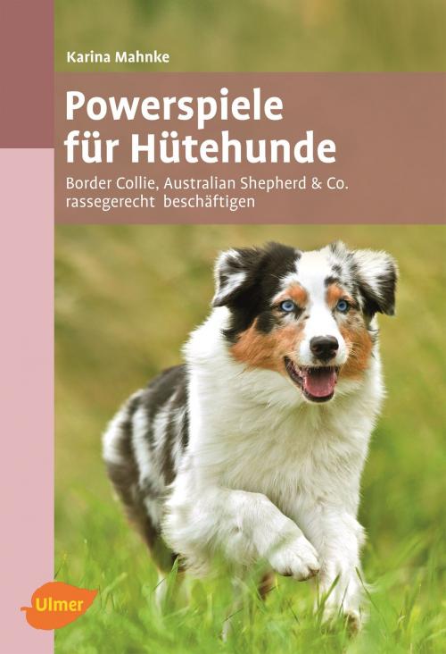 Cover of the book Powerspiele für Hütehunde by Karina Mahnke, Verlag Eugen Ulmer