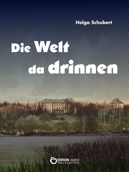 Cover of the book Die Welt da drinnen by Helga Schubert, EDITION digital