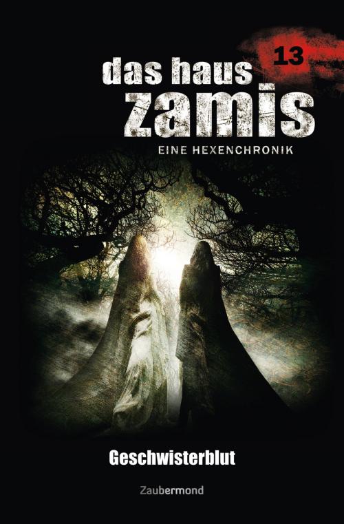 Cover of the book Das Haus Zamis 13 - Geschwisterblut by Uwe Voehl, Rüdiger Silber, Dario Vandis, Zaubermond Verlag