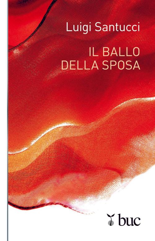 Cover of the book Il ballo della sposa by Luigi Santucci, San Paolo Edizioni