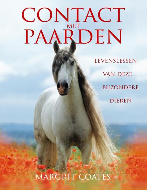 Cover of the book Contact met paarden by Margrit Coates, VBK Media