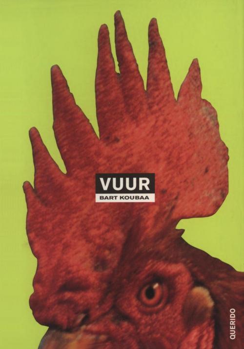 Cover of the book Vuur by Bart Koubaa, Singel Uitgeverijen