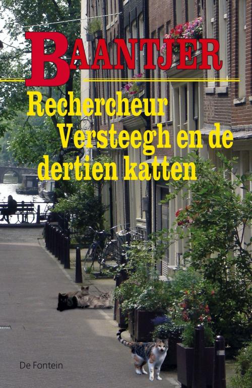 Cover of the book Rechercheur Versteegh en de dertien katten by A.C. Baantjer, VBK Media