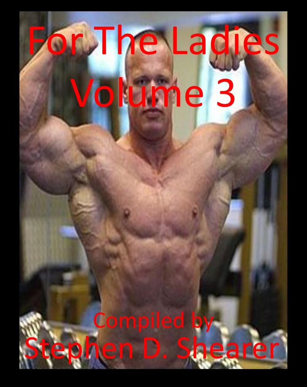 Big bigCover of For The Ladies Volume 3