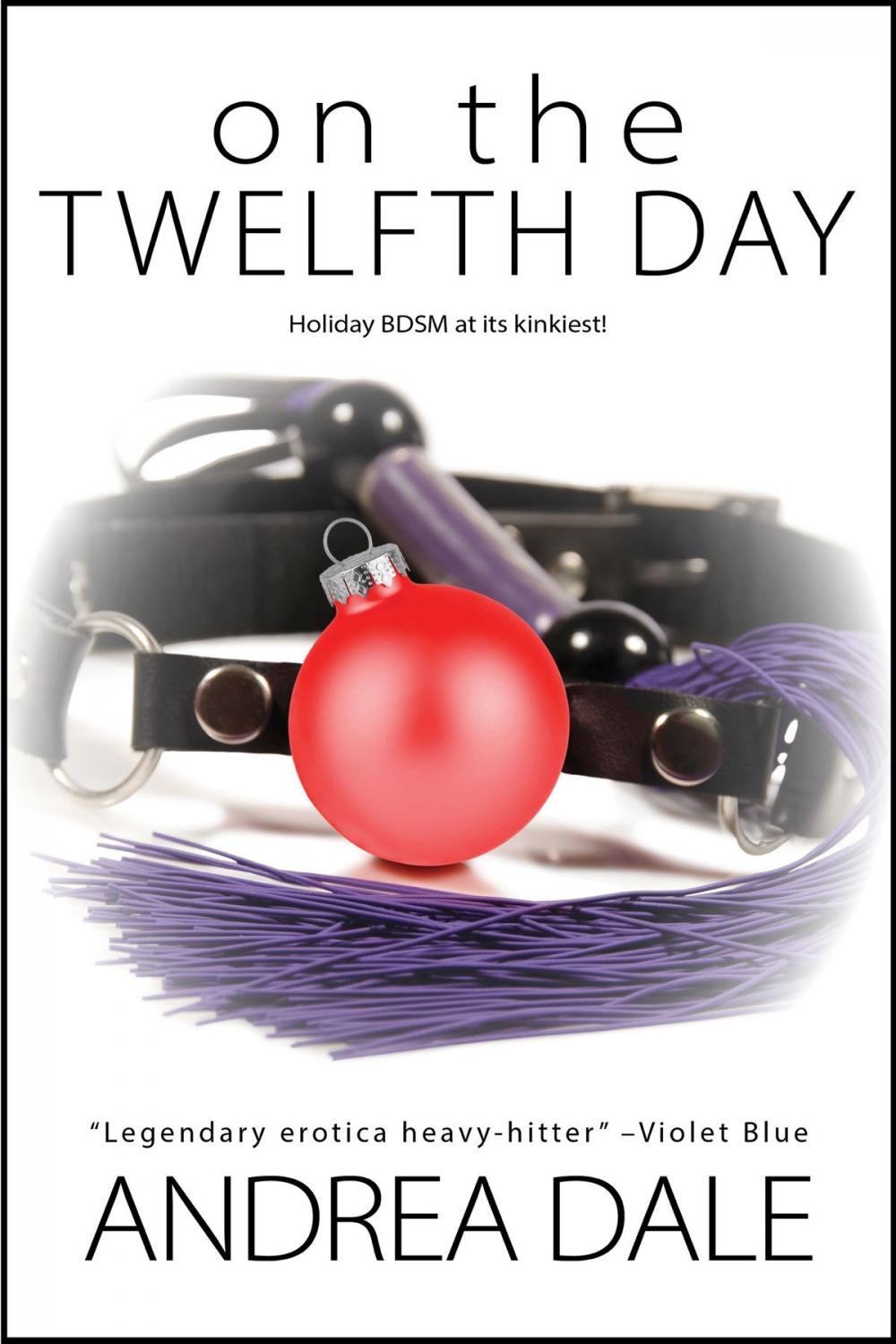 Big bigCover of On the Twelfth Day...