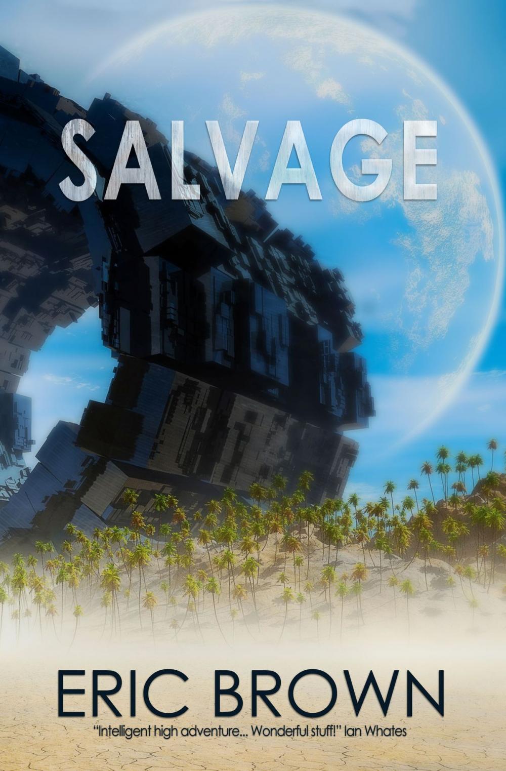 Big bigCover of Salvage