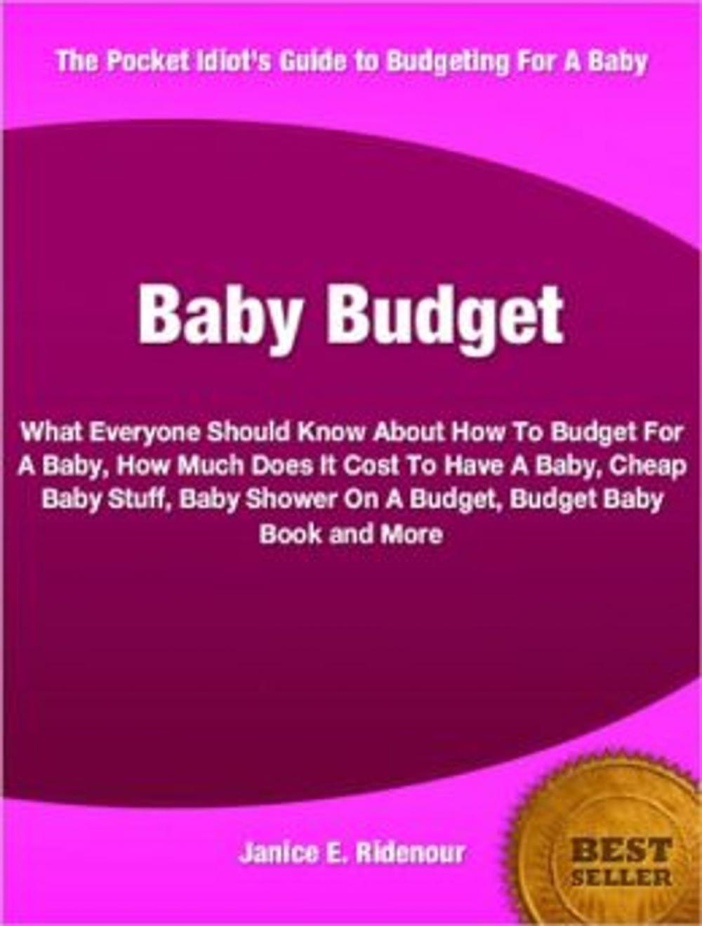 Big bigCover of Baby Budget