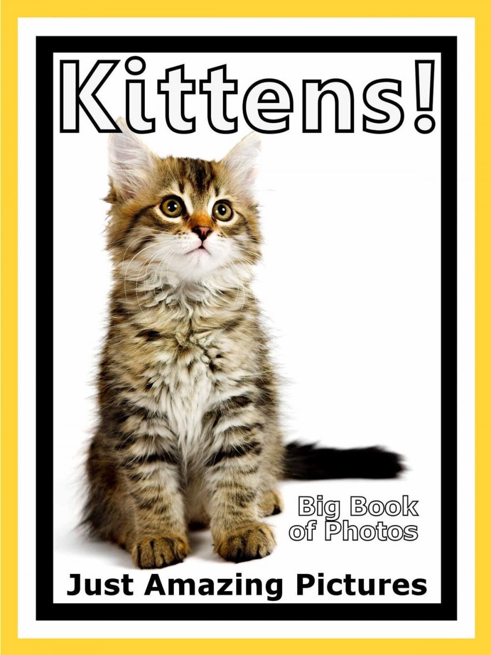 Big bigCover of Just Kitten Photos! Big Book of Photographs & Pictures of Baby Cats & Cat Kittens, Vol. 1