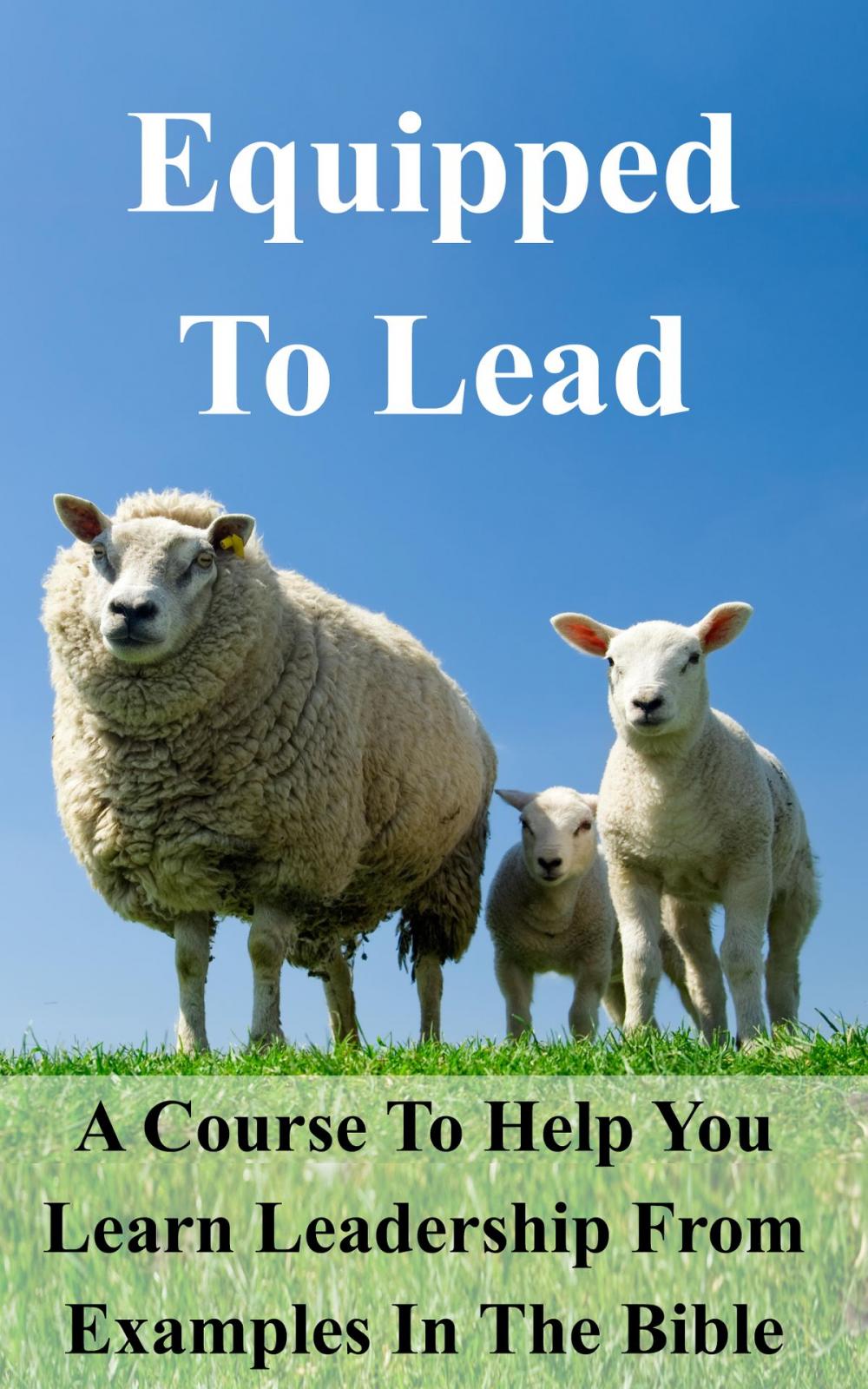 Big bigCover of Equipped To Lead Workbook