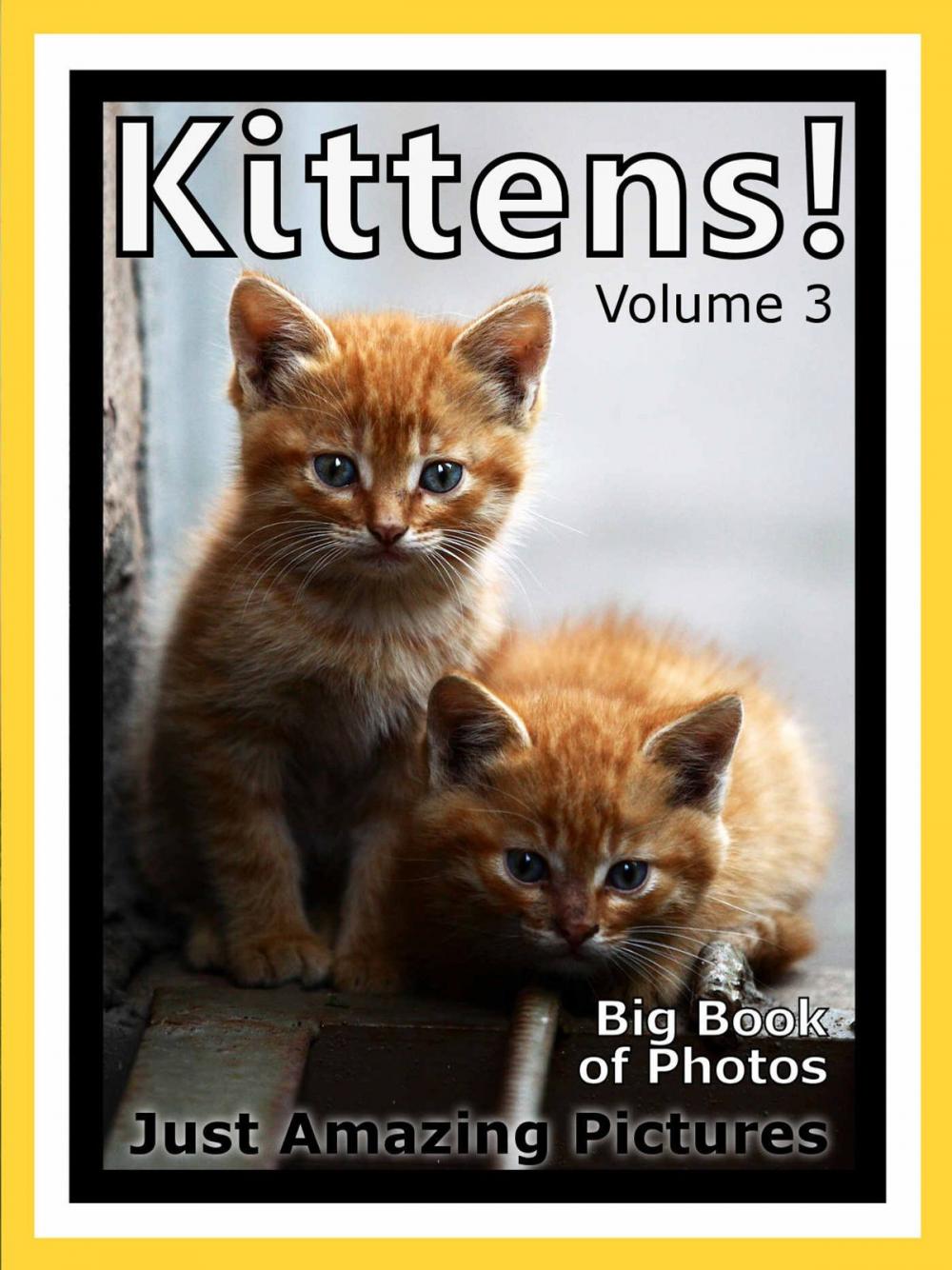 Big bigCover of Just Kitten Photos! Big Book of Photographs & Pictures of Baby Cats & Cat Kittens, Vol. 3