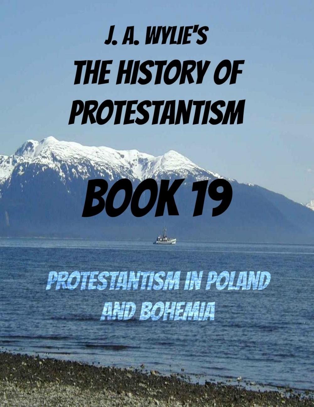 Big bigCover of Protestantism in Poland and Bohemia: Book 19