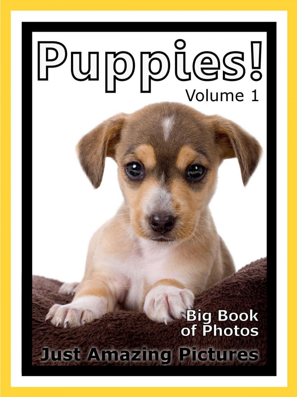 Big bigCover of Just Puppy Photos! Big Book of Photographs & Pictures of Baby Dogs & Dog Puppies, Vol. 1