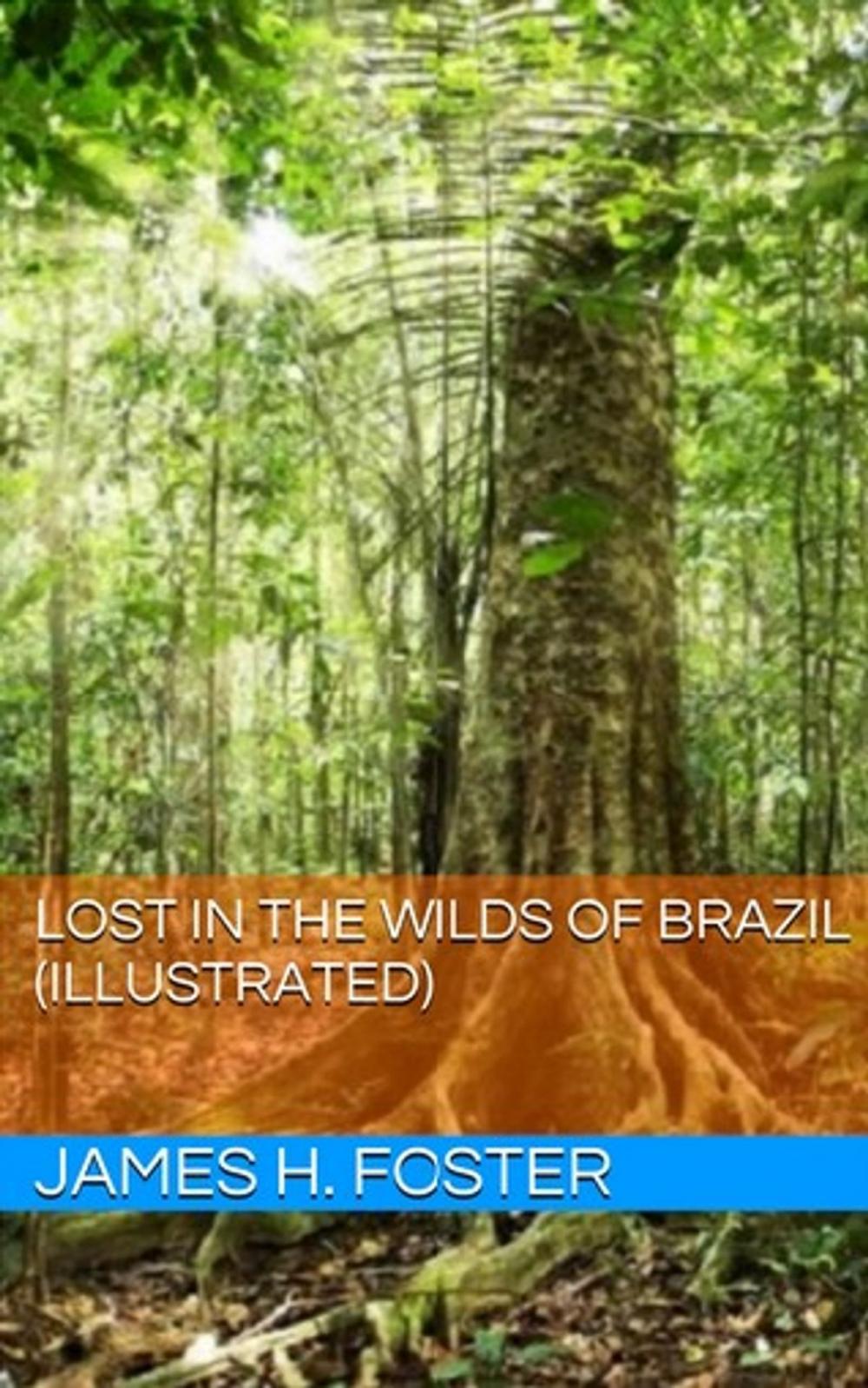 Big bigCover of Lost in the Wilds of Brazil (Illustrated)