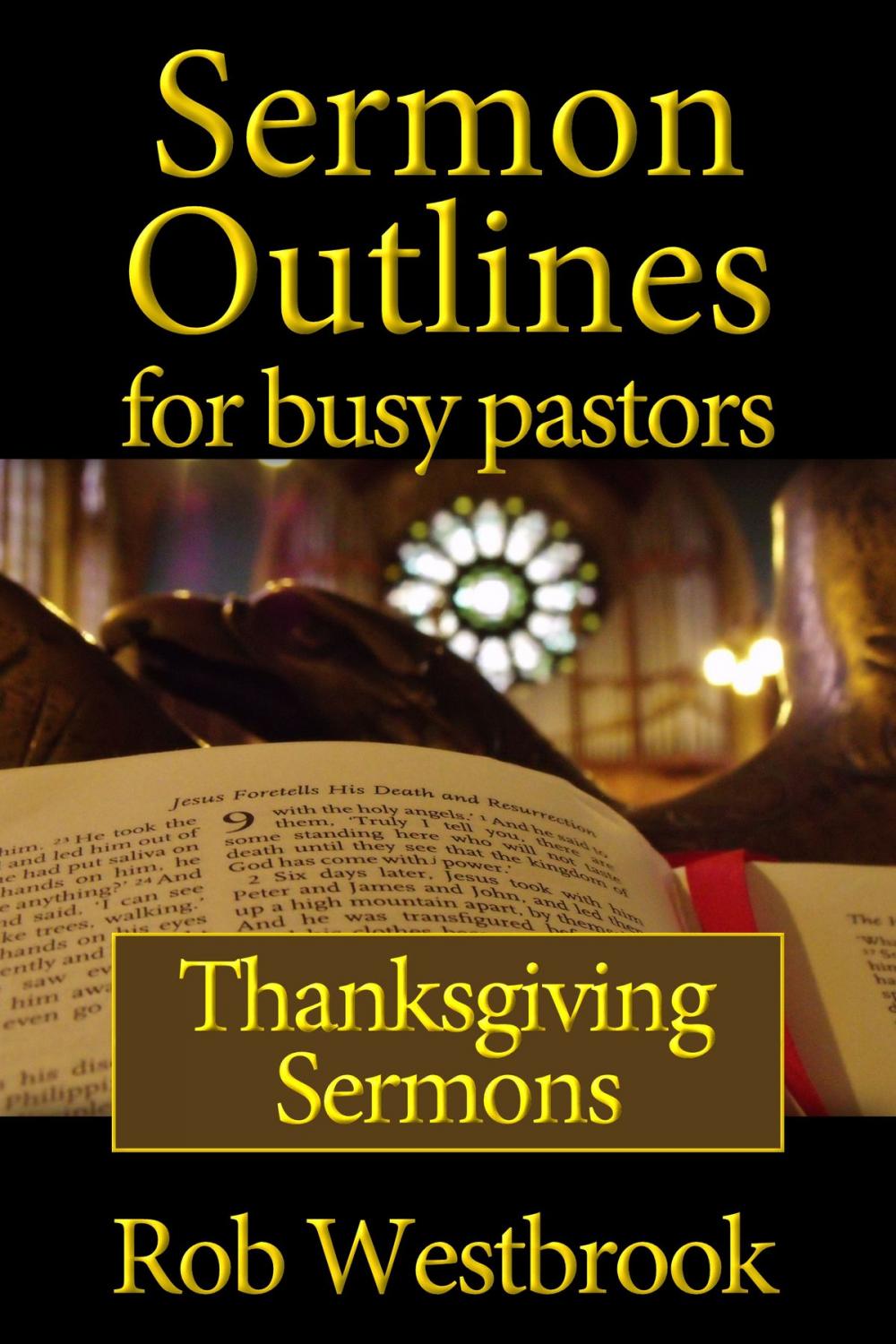 Big bigCover of Sermon Outlines for Busy Pastors: Thanksgiving Sermons