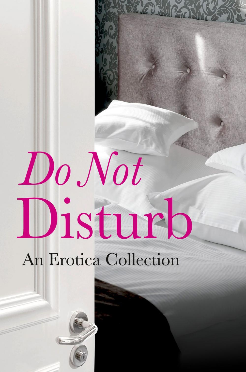 Big bigCover of Do Not Disturb: An Erotica Collection
