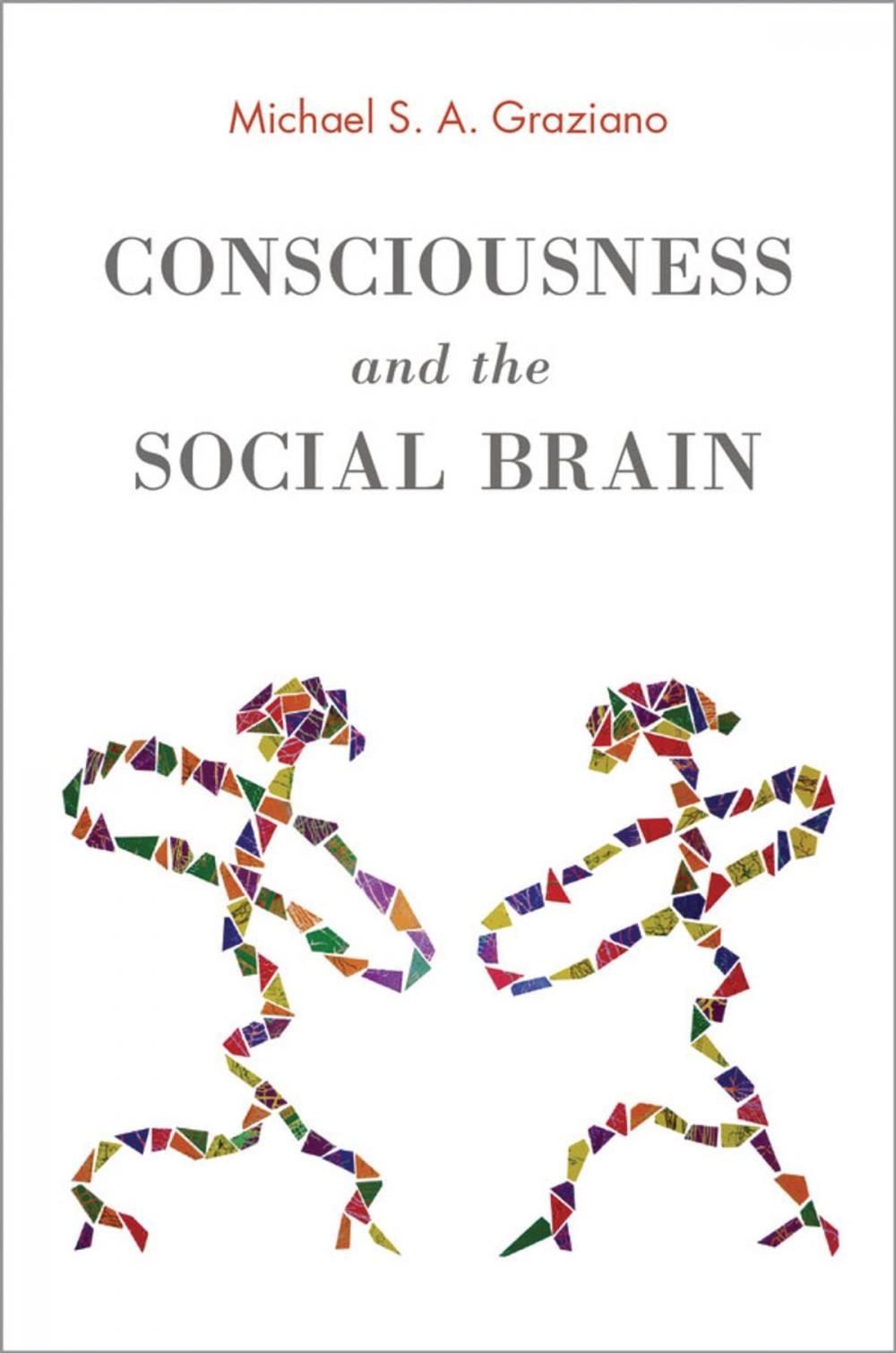 Big bigCover of Consciousness and the Social Brain