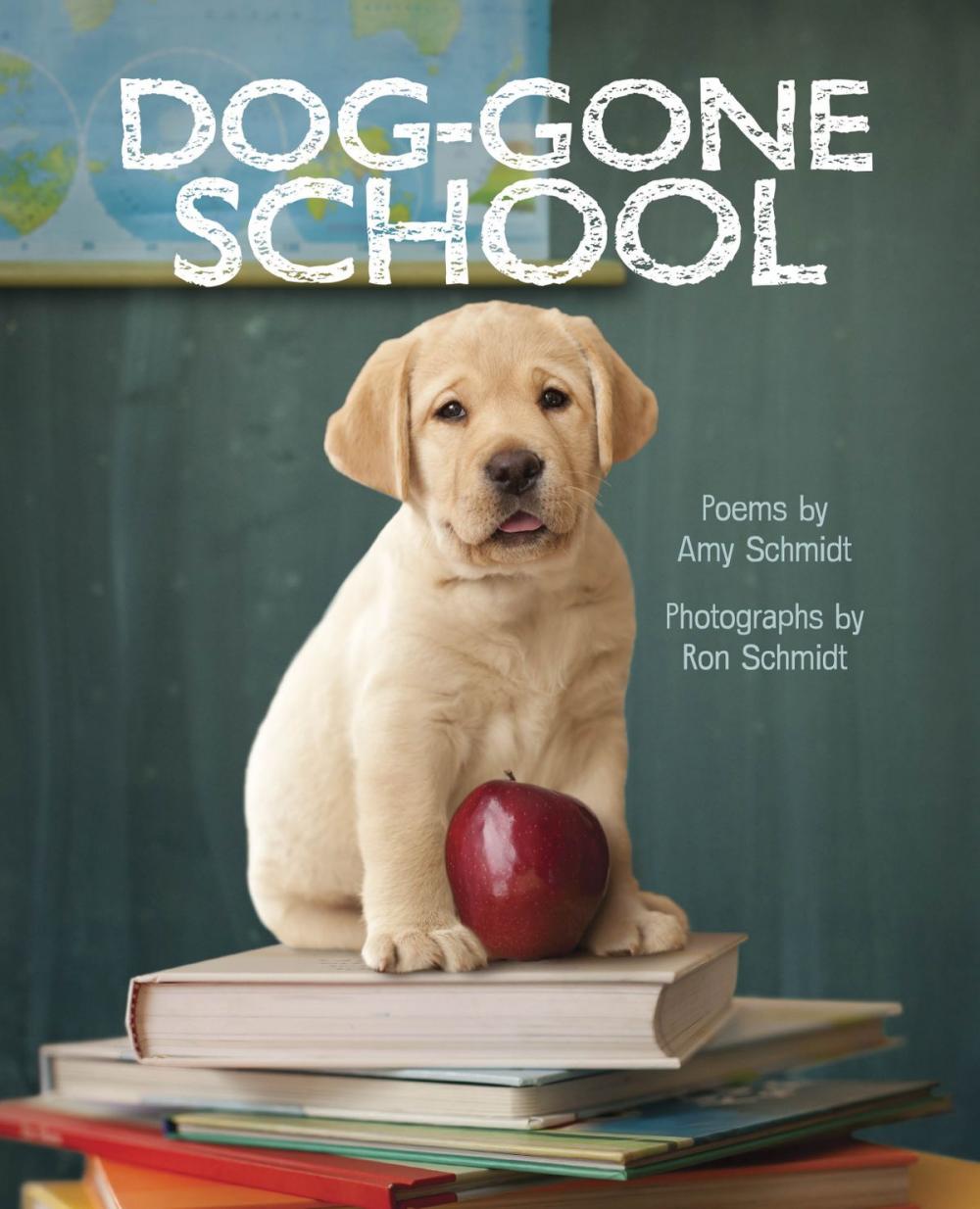 Big bigCover of Dog-Gone School