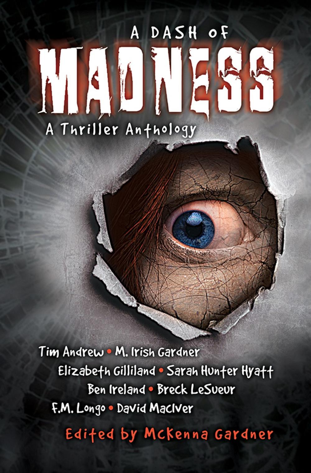 Big bigCover of A Dash of Madness: A Thriller Anthology