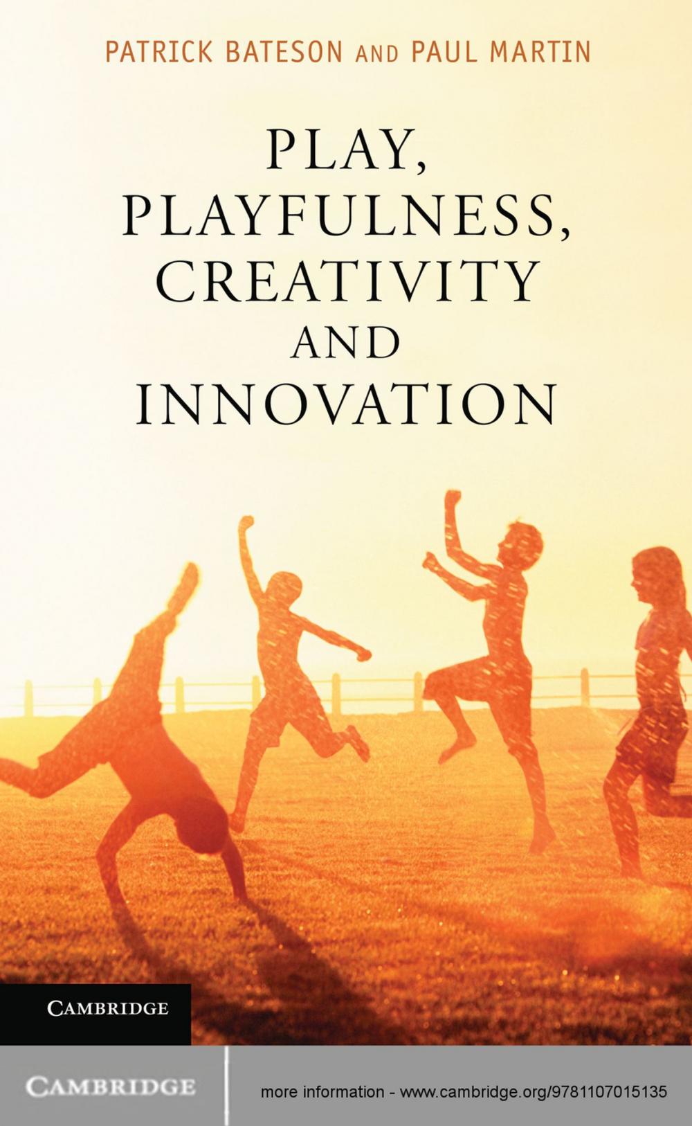 Big bigCover of Play, Playfulness, Creativity and Innovation