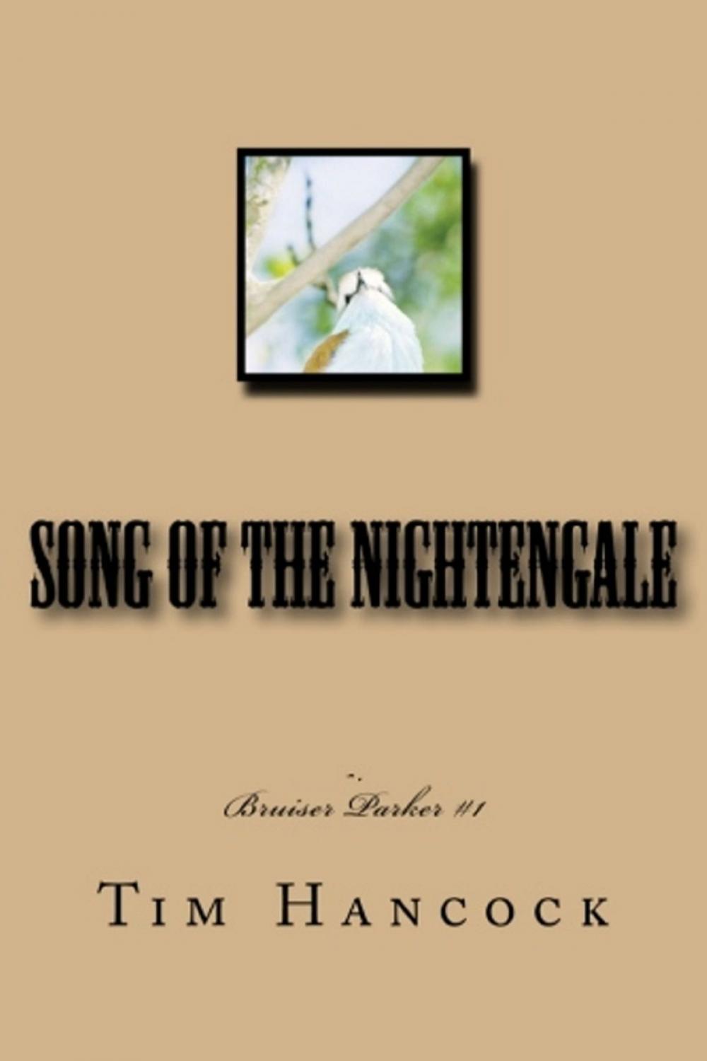 Big bigCover of Song of the Nightengale Bruiser Parker Book 1